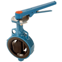 RX Butterfly Valve